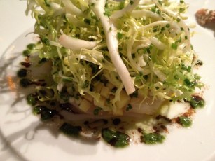 coquille saint jacques marinés