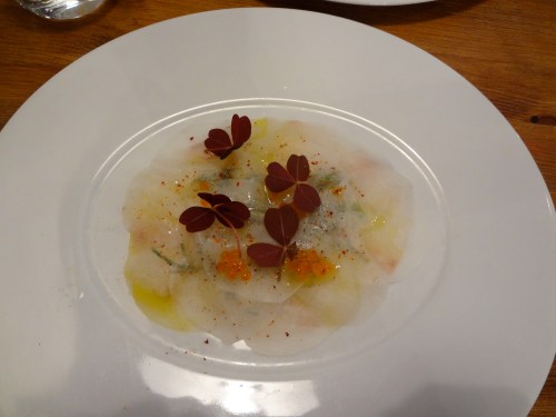 carpaccio de saint jacques